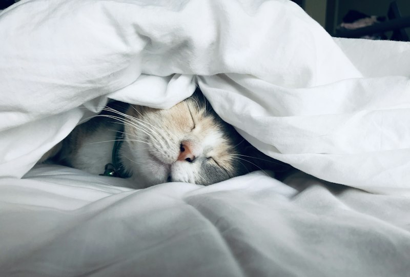 Deep restful sleep